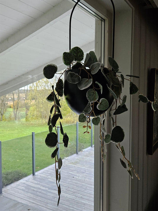 Ampel i sort metall - 4 Living Collection til friske og kunstige planter - Hjem & Fritidsshoppen.no