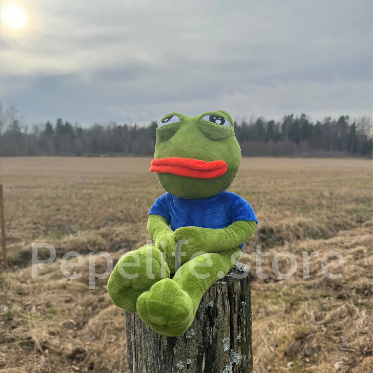 SAD PEPE®   PEPE needs a Friend - Hjem & Fritidsshoppen.no