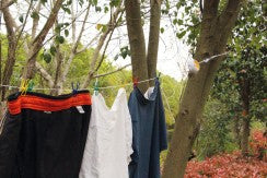 tørkesnoren festet i trær med klær til tørk